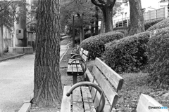 ベンチ