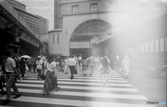 平成の夏に蘇るレトロ風