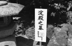 淀殿