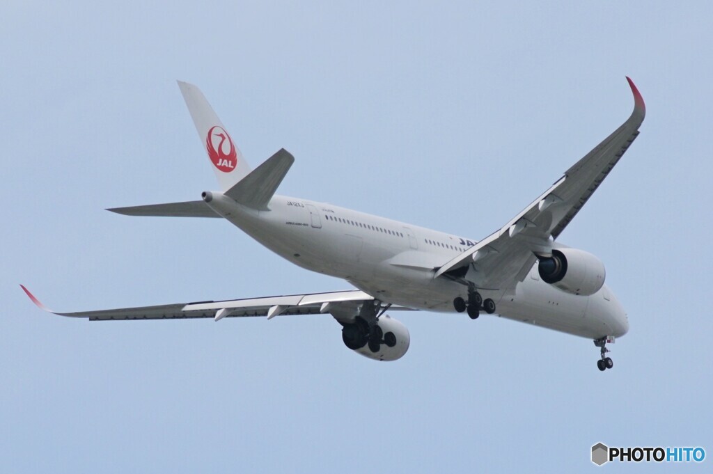 飛行機