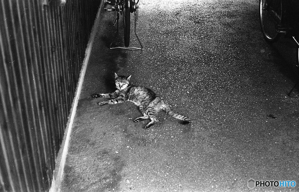 俺様に何の用事だ