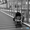 何を見てるの？