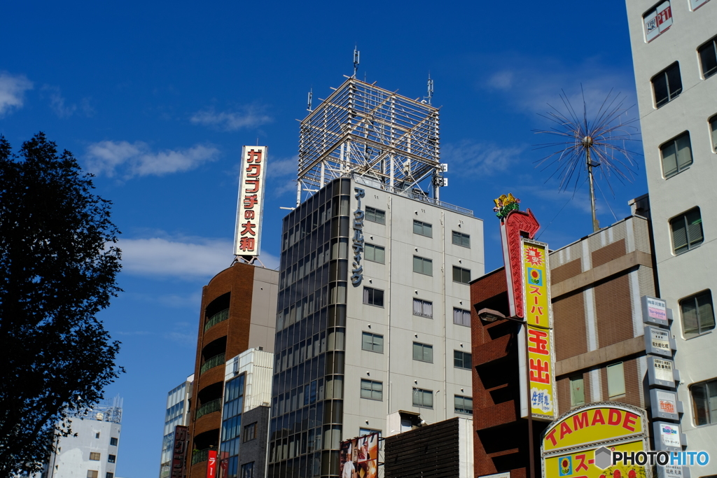 気ままな屋上