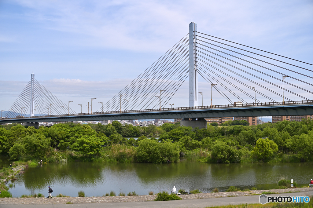 長閑な風景　～ワンドと菅原大橋～