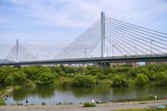 長閑な風景　～ワンドと菅原大橋～