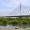 長閑な風景　～ワンドと菅原大橋～