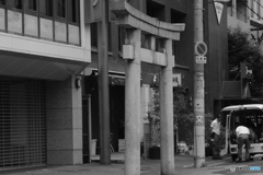 なんじゃこりゃ　１