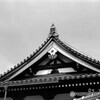 寺院　RICOH XR-X試写