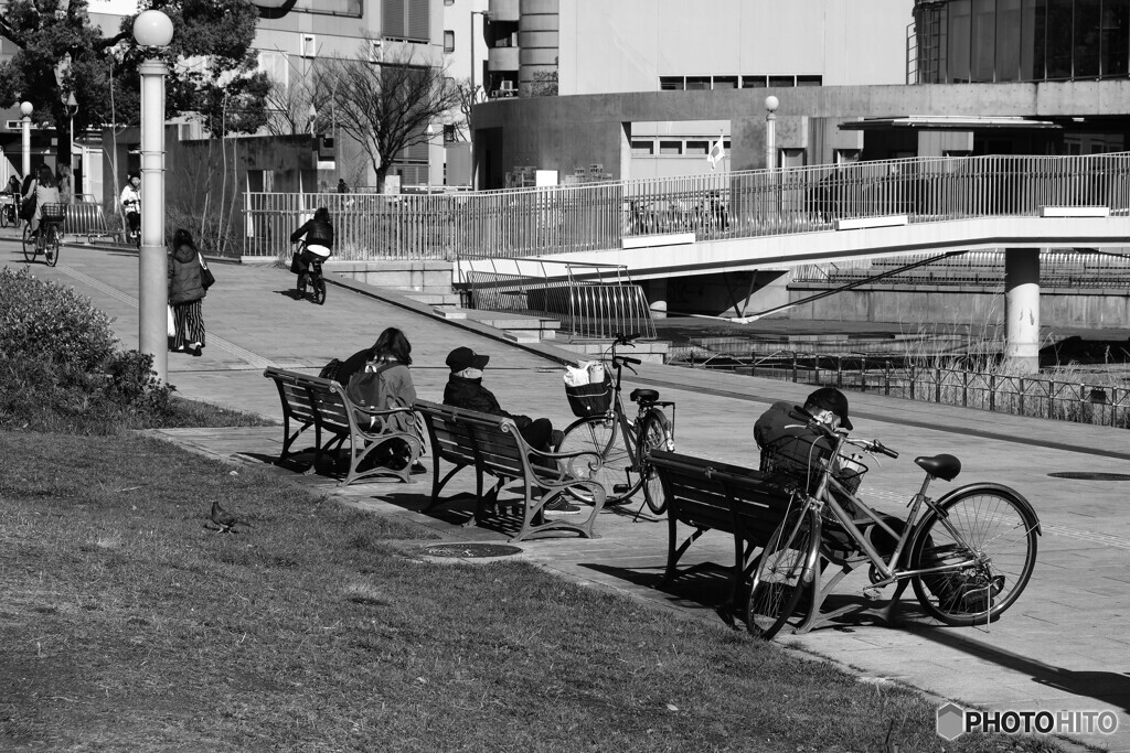 それぞれのベンチ