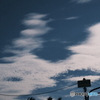 <゜)))彡　さかな　～今日の空～
