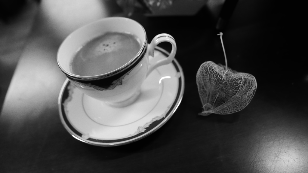 P4230365