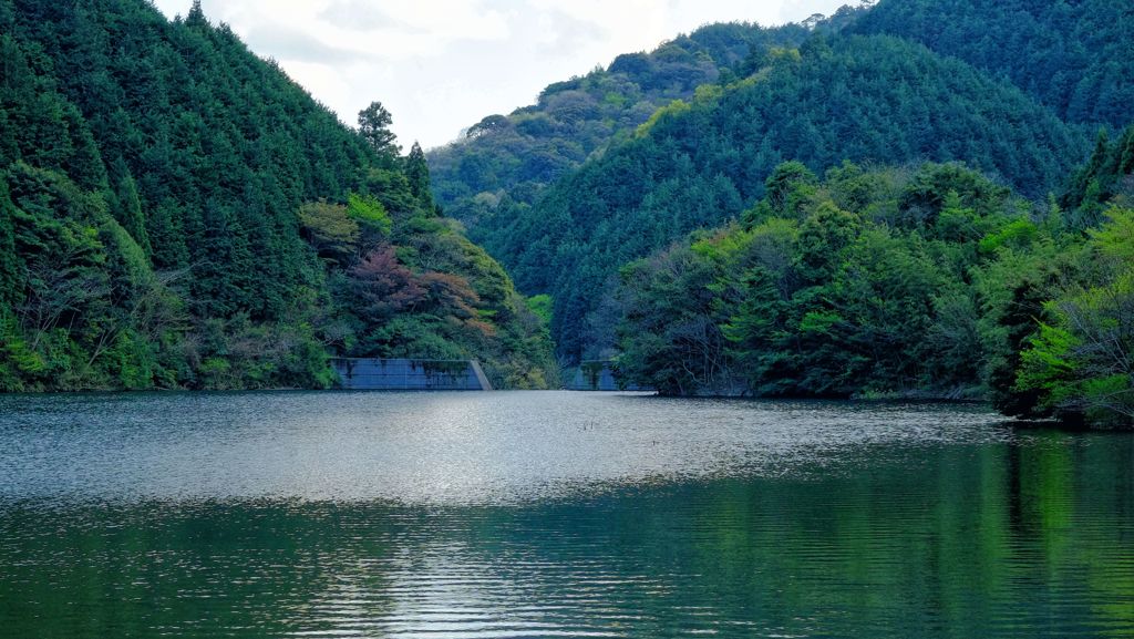 「蒼霧鯉池」砂防ダム