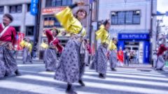 黒崎よさこい祭り