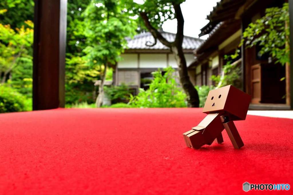 玉川寺の庭園とダンボー