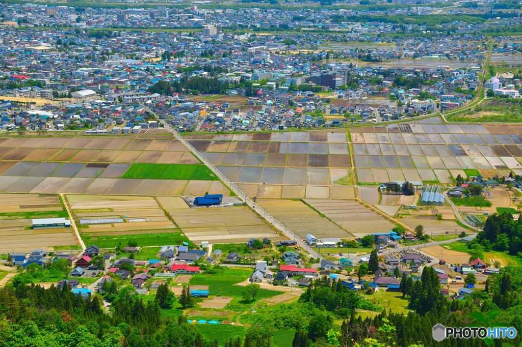御成山公園から広がる景色