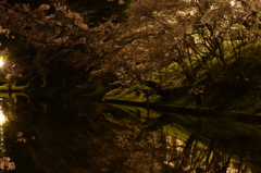 夜　上杉神社　お堀