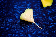 梅雨