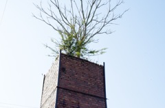生きる 1