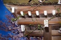 静