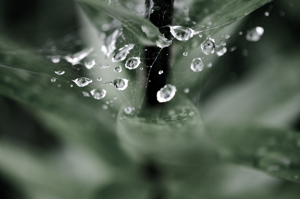 梅雨