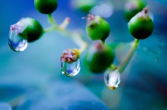 雨後