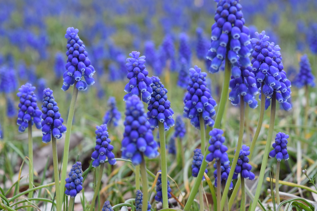 名前教えてください