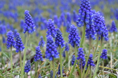 名前教えてください