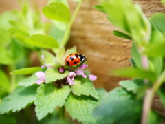 P3130049