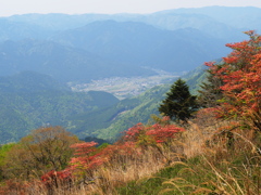P5010045