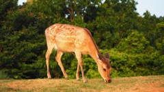 P5220212