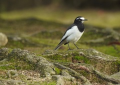 そのまま動かないで