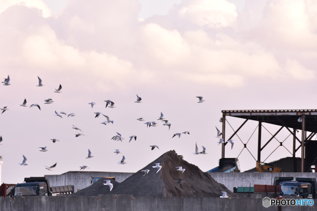 みんなで飛べば怖くない