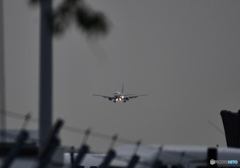 おぉ〜チャンス