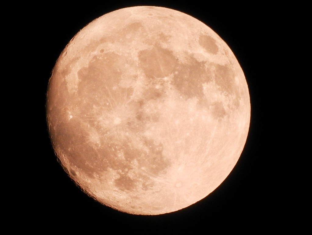 ２０１７年１２月２日