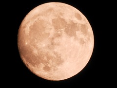 ２０１７年１２月２日