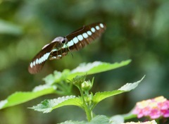 食欲の秋