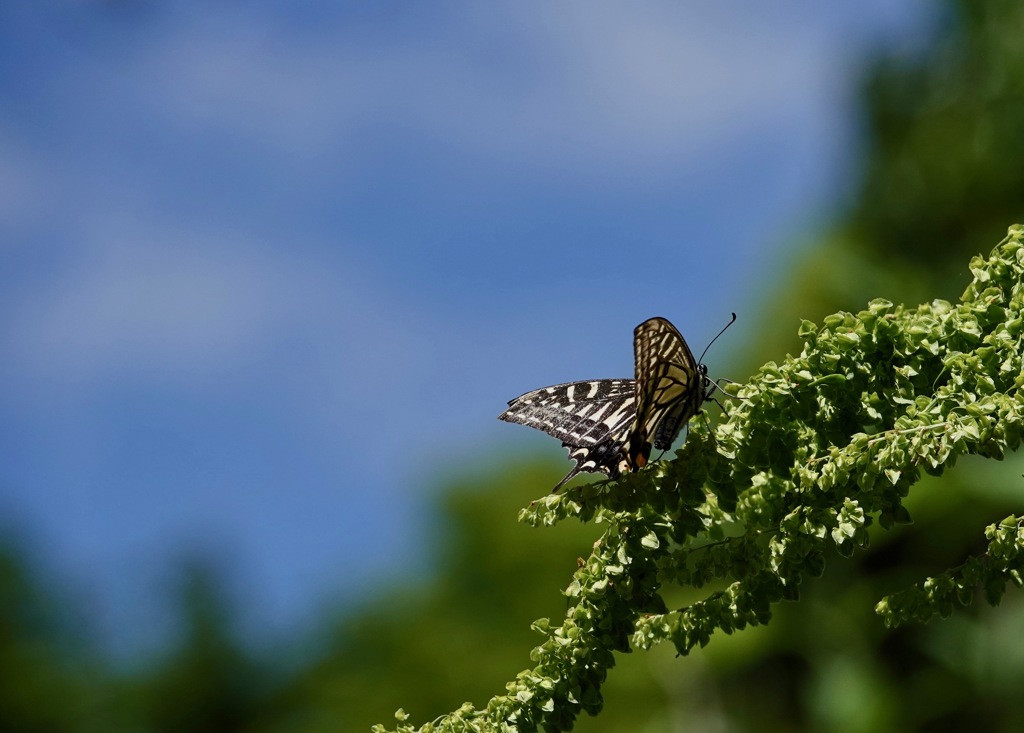 何時もの休憩所