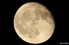 ９月８日のお月様