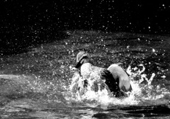 ジャバ　ジャバ