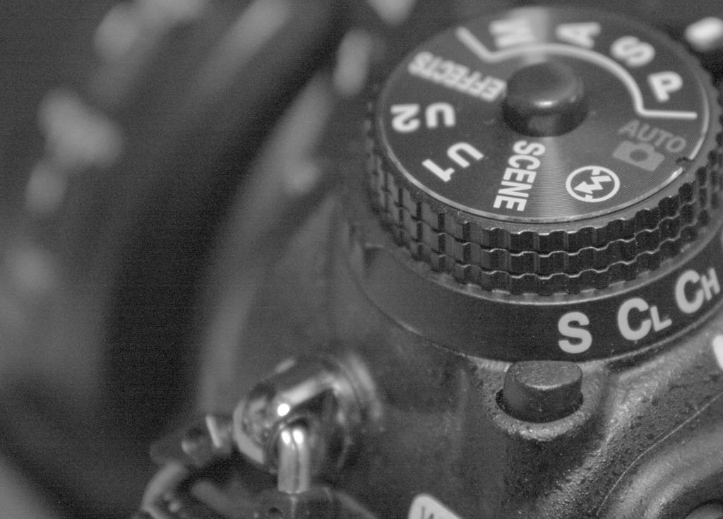 意味のない写真