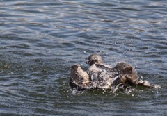 ストレス解消法
