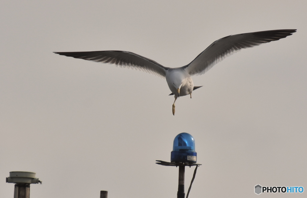 間もなく回転灯です
