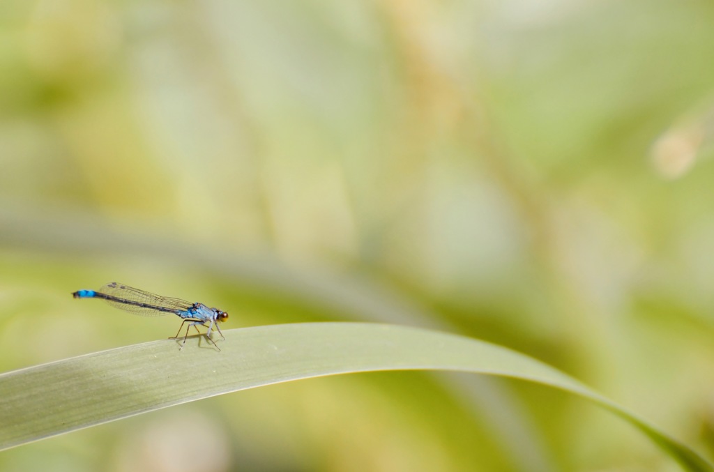 すべり台初挑戦