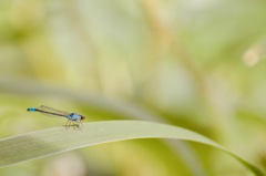 すべり台初挑戦