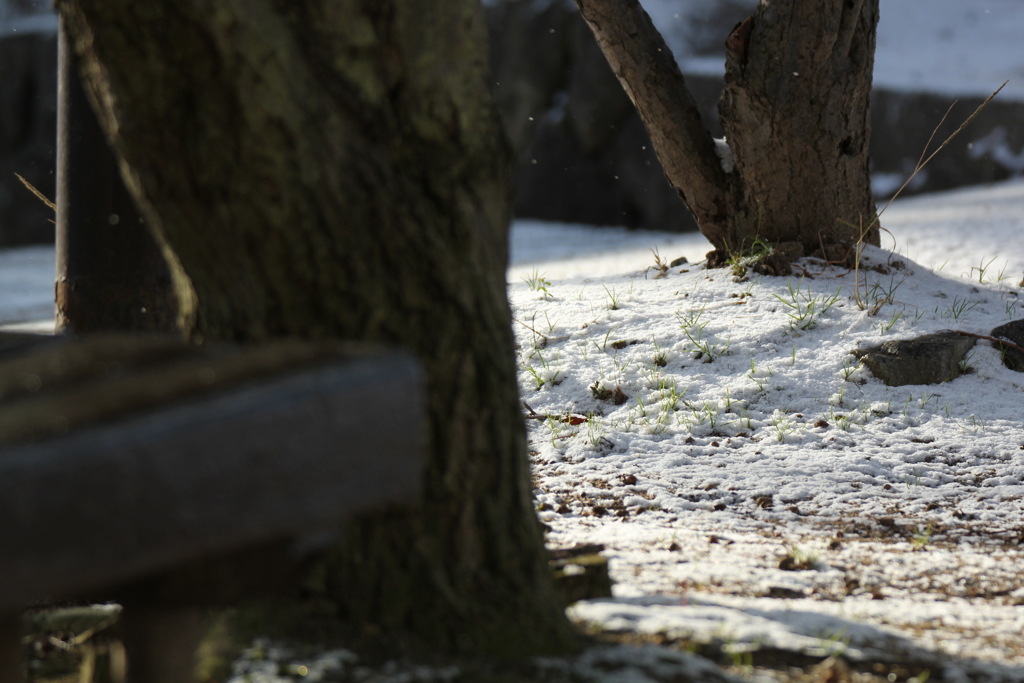 雪は降るあなたは来ない