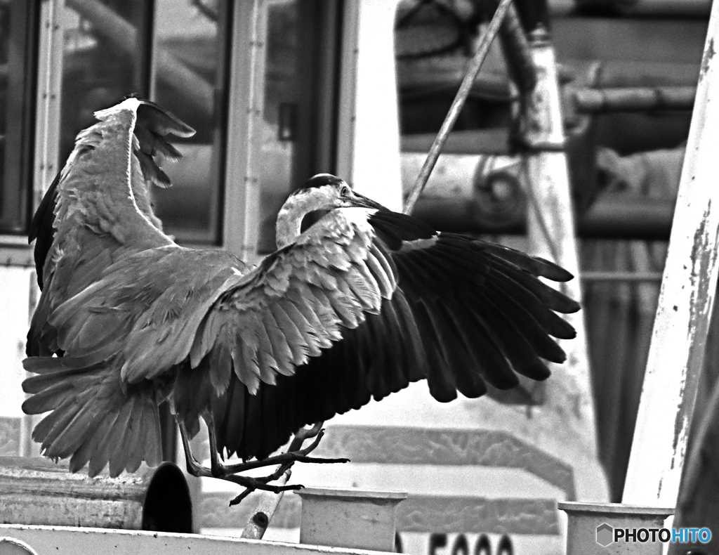 さぁ〜旅に出ようか