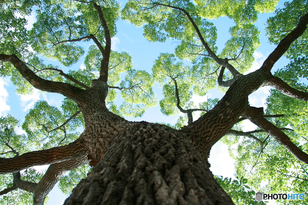 打ち上げはなび