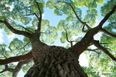 打ち上げはなび