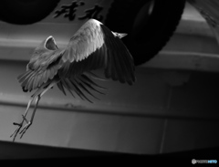 さぁ〜旅に出かけようか 2