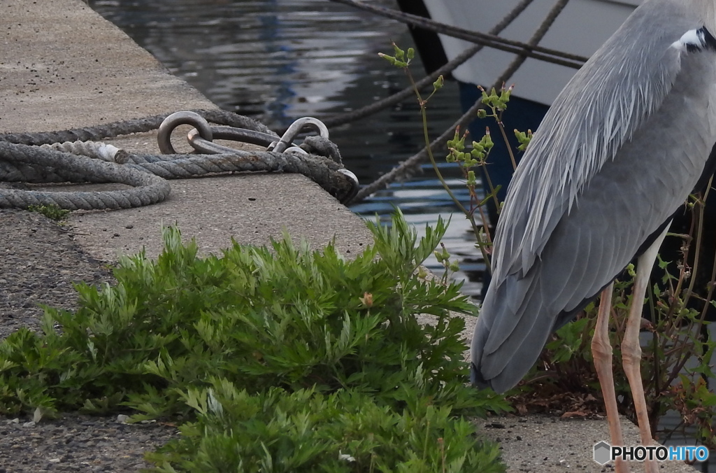 一人ぼっち　２